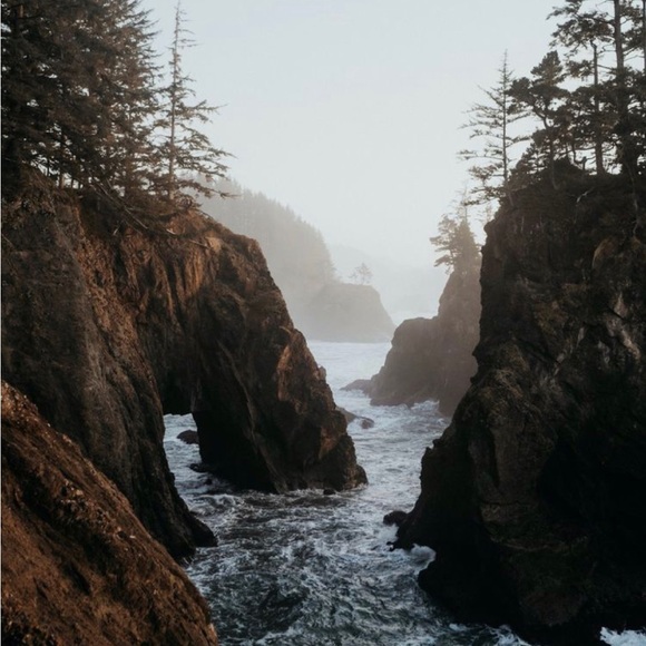 ๐คHello, Iโm Addy!๐ค - Picture 4 of 6